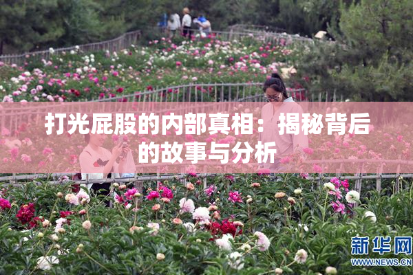 打光屁股的内部真相：揭秘背后的故事与分析