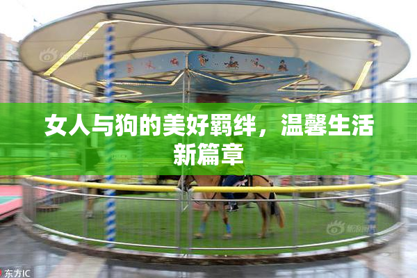 女人与狗的美好羁绊，温馨生活新篇章