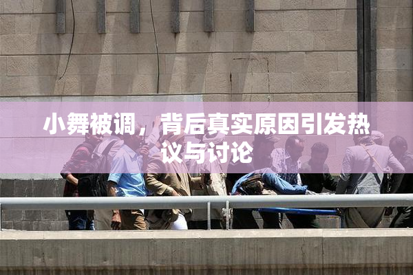 小舞被调，背后真实原因引发热议与讨论