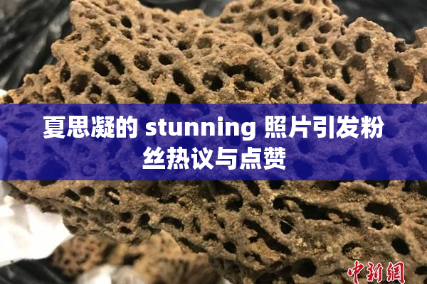 夏思凝的 stunning 照片引发粉丝热议与点赞