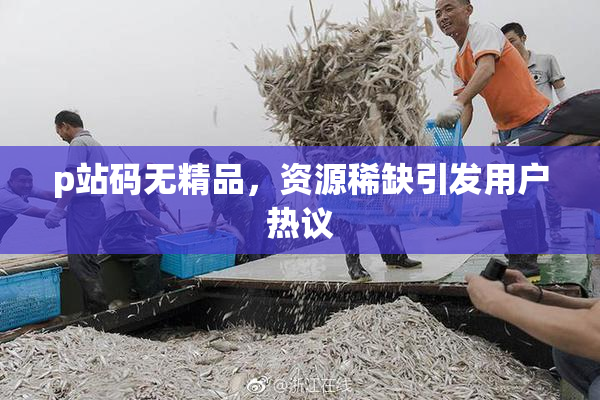 p站码无精品，资源稀缺引发用户热议