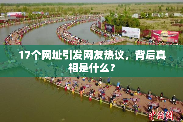 17个网址引发网友热议，背后真相是什么？