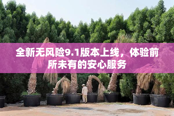 全新无风险9.1版本上线，体验前所未有的安心服务