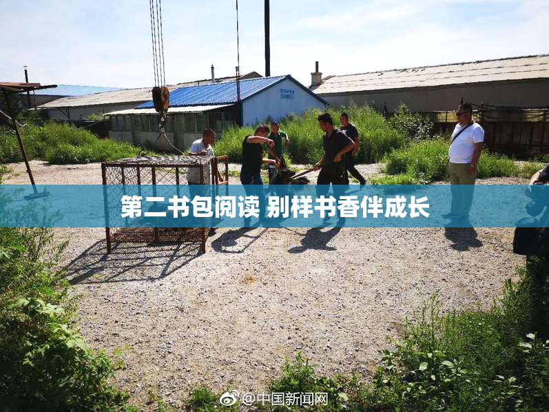 第二书包阅读 别样书香伴成长