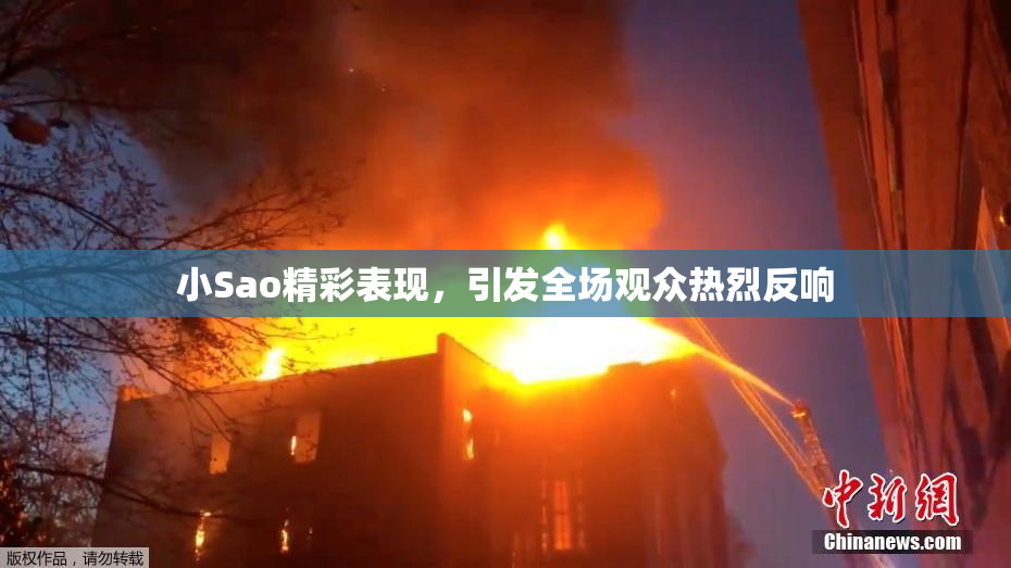 小Sao精彩表现，引发全场观众热烈反响