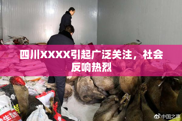 四川XXXX引起广泛关注，社会反响热烈