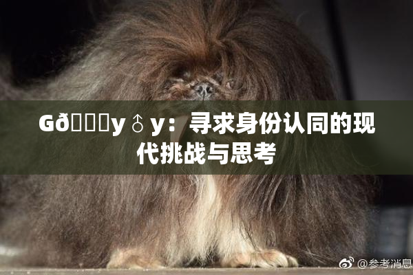 G🈚y♂y：寻求身份认同的现代挑战与思考