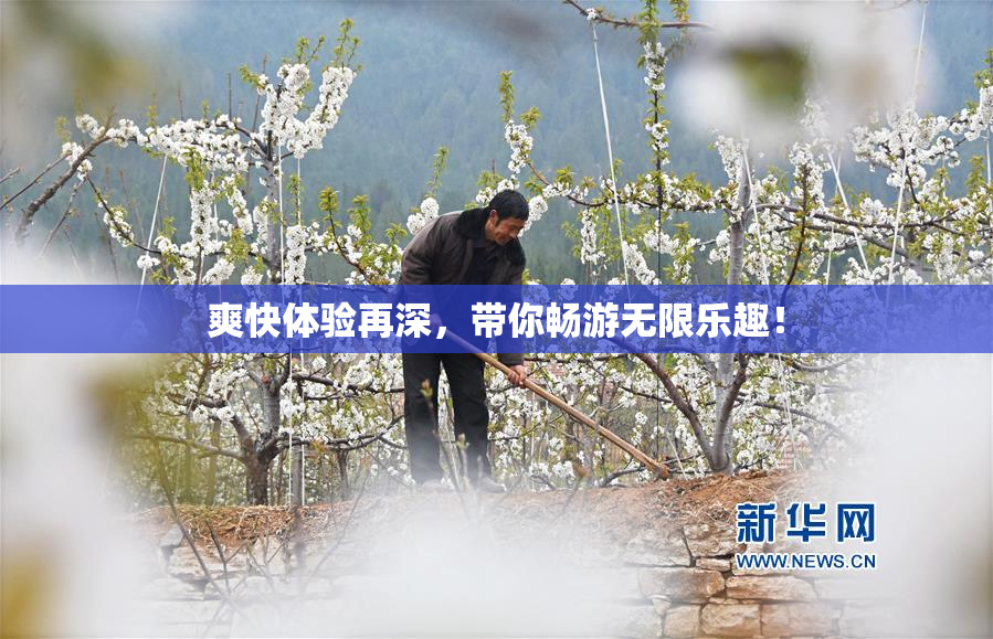 爽快体验再深，带你畅游无限乐趣！