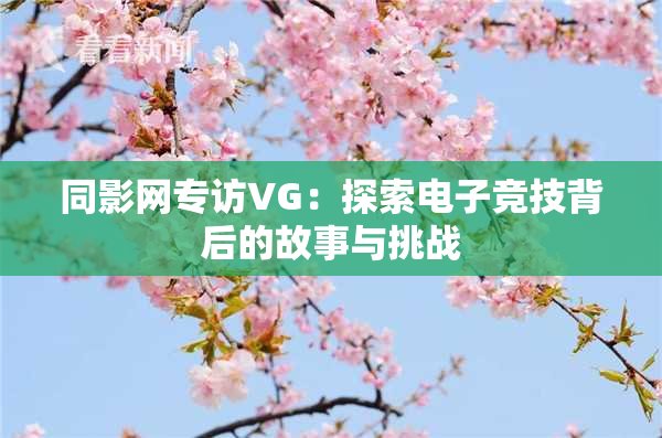 同影网专访VG：探索电子竞技背后的故事与挑战