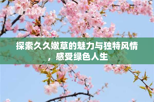 探索久久嫩草的魅力与独特风情，感受绿色人生