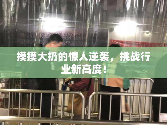 摸摸大扔的惊人逆袭，挑战行业新高度！