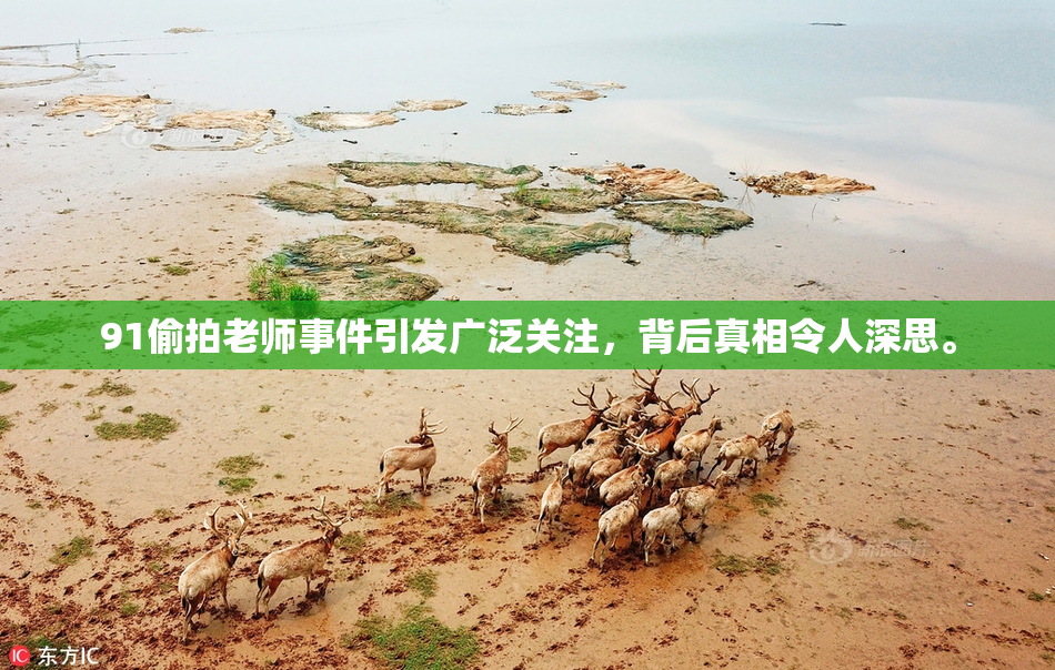 91偷拍老师事件引发广泛关注，背后真相令人深思。