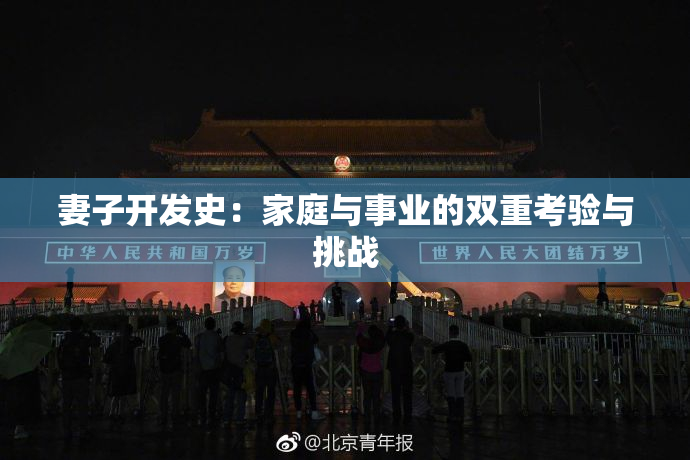 妻子开发史：家庭与事业的双重考验与挑战