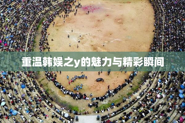 重温韩娱之y的魅力与精彩瞬间