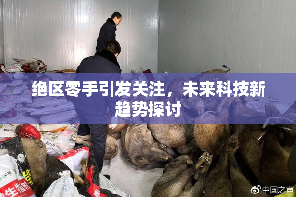 绝区零手引发关注，未来科技新趋势探讨