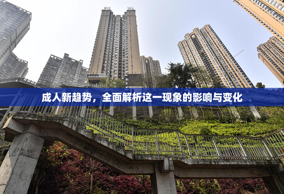 成人新趋势，全面解析这一现象的影响与变化