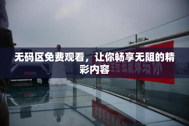 无码区免费观看，让你畅享无阻的精彩内容