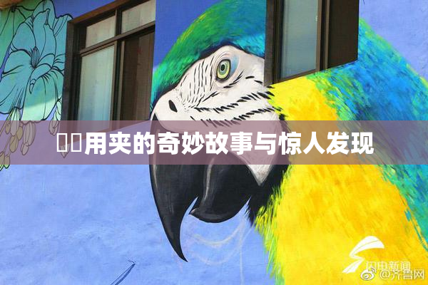妺妺用夹的奇妙故事与惊人发现