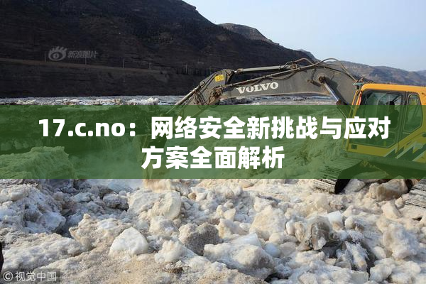 17.c.no：网络安全新挑战与应对方案全面解析