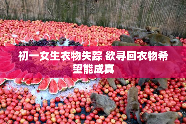 初一女生衣物失踪 欲寻回衣物希望能成真