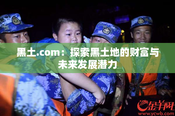 黑土.com：探索黑土地的财富与未来发展潜力