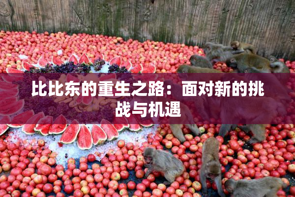 比比东的重生之路：面对新的挑战与机遇