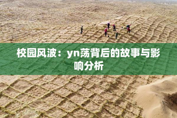 校园风波：yn荡背后的故事与影响分析