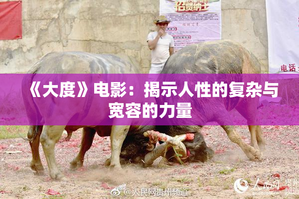 《大度》电影：揭示人性的复杂与宽容的力量