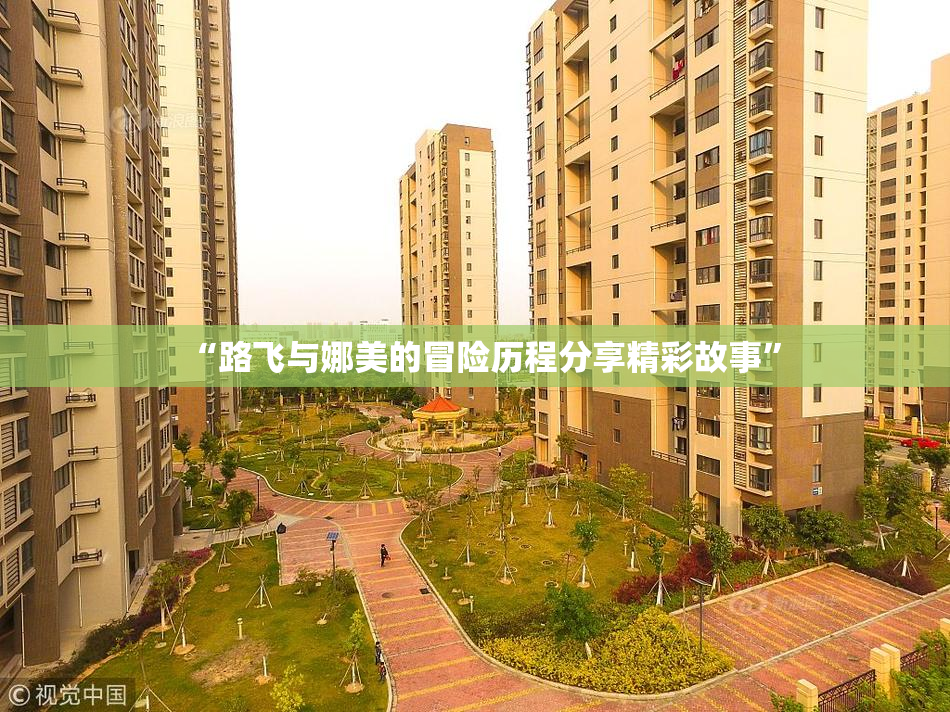 “路飞与娜美的冒险历程分享精彩故事”