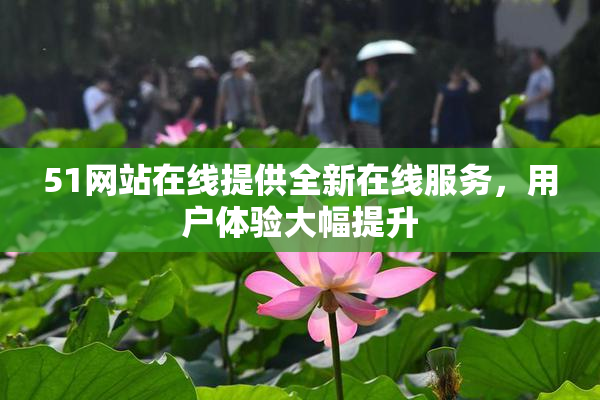 51网站在线提供全新在线服务，用户体验大幅提升