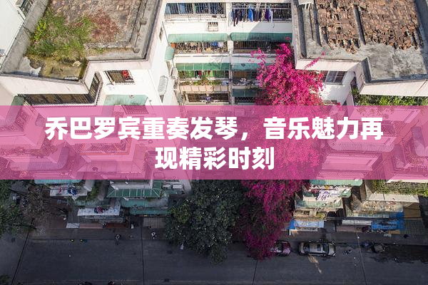 乔巴罗宾重奏发琴，音乐魅力再现精彩时刻