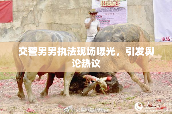 交警男男执法现场曝光，引发舆论热议