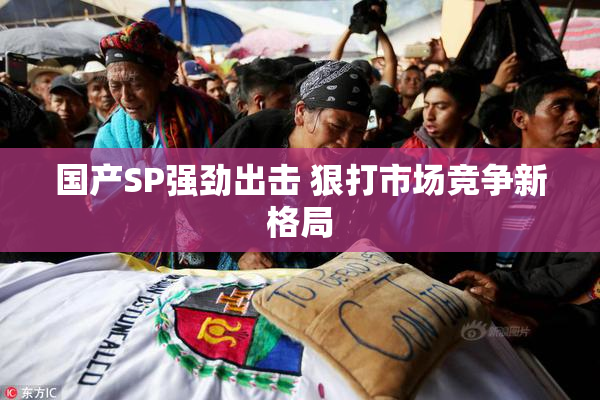 国产SP强劲出击 狠打市场竞争新格局