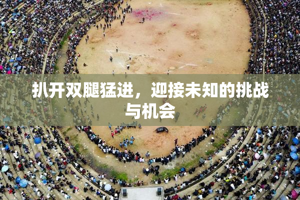 扒开双腿猛进，迎接未知的挑战与机会