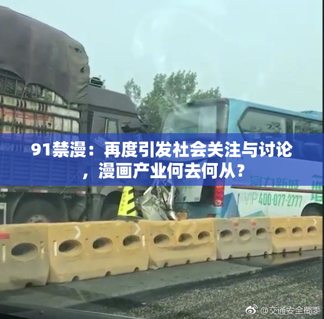 91禁漫：再度引发社会关注与讨论，漫画产业何去何从？