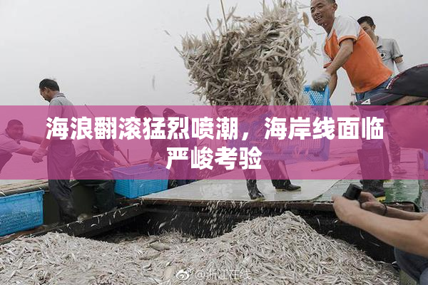 海浪翻滚猛烈喷潮，海岸线面临严峻考验