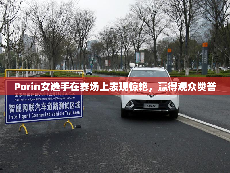 Porin女选手在赛场上表现惊艳，赢得观众赞誉