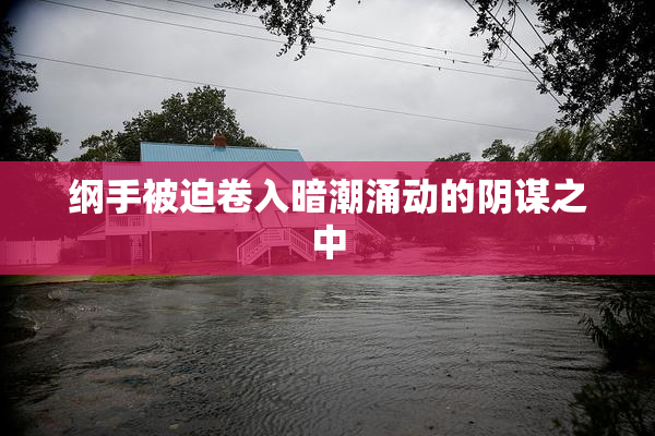 纲手被迫卷入暗潮涌动的阴谋之中