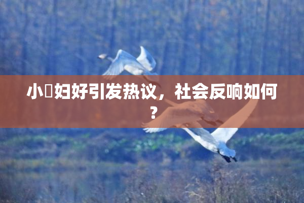 小婬妇好引发热议，社会反响如何？