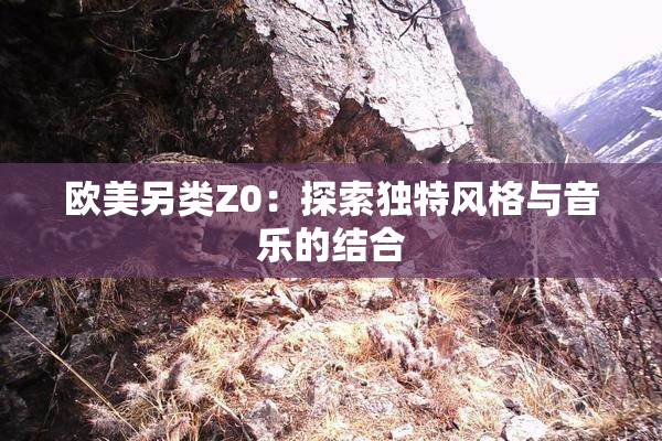 欧美另类Z0：探索独特风格与音乐的结合