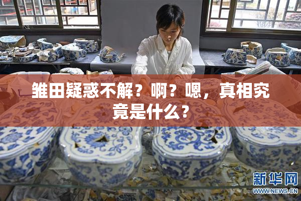 雏田疑惑不解？啊？嗯，真相究竟是什么？