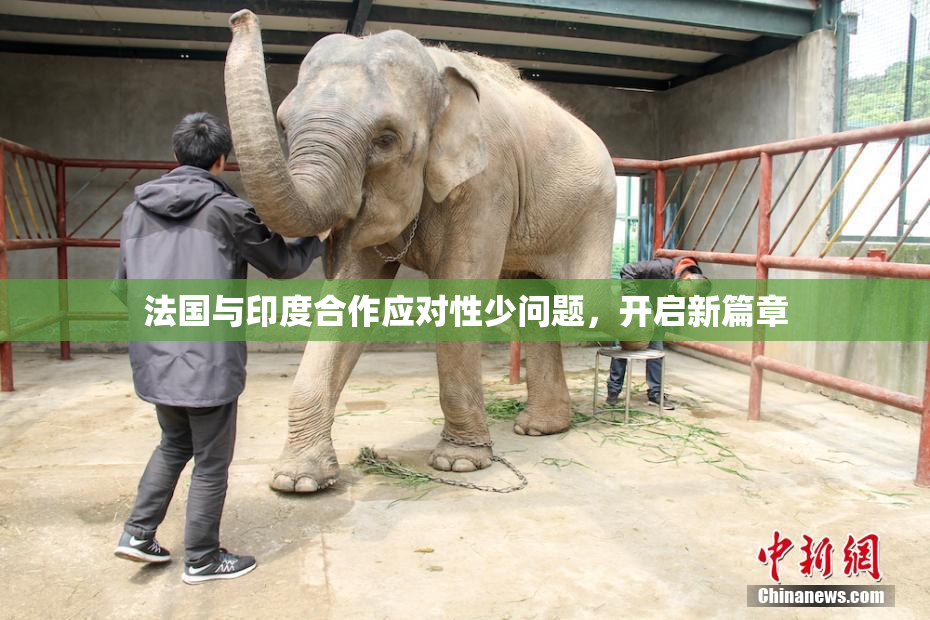 法国与印度合作应对性少问题，开启新篇章