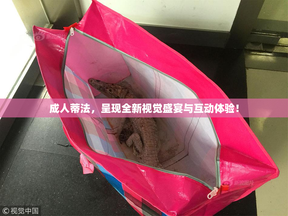 成人蒂法，呈现全新视觉盛宴与互动体验！