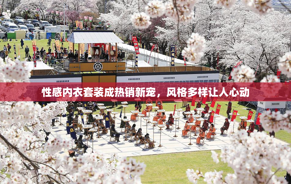 性感内衣套装成热销新宠，风格多样让人心动