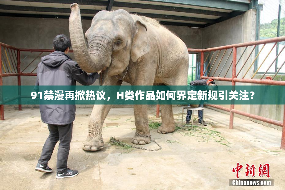91禁漫再掀热议，H类作品如何界定新规引关注？