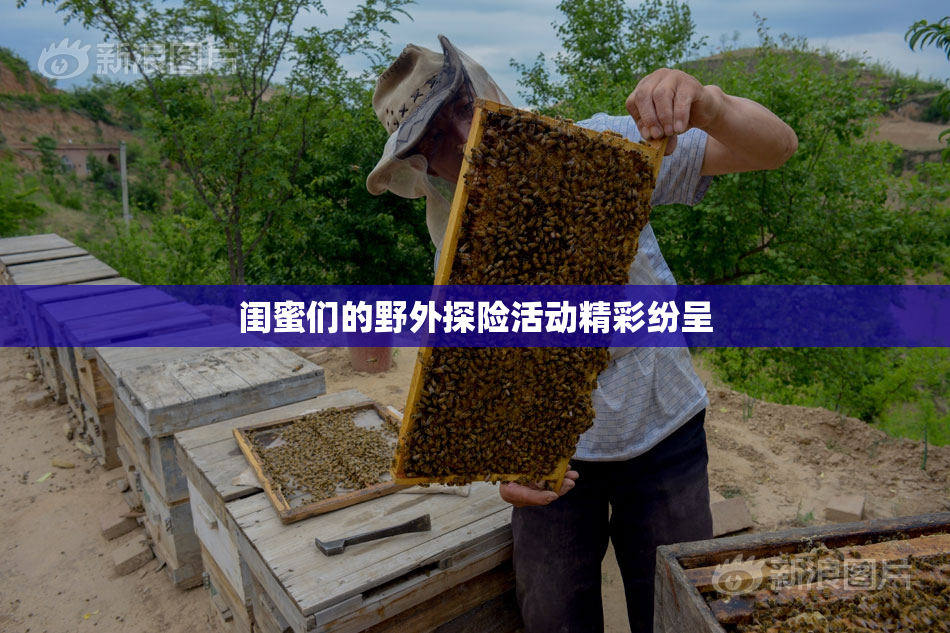 闺蜜们的野外探险活动精彩纷呈