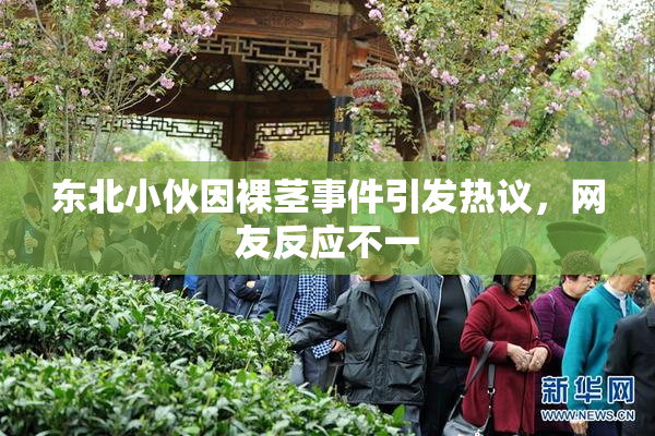 东北小伙因裸茎事件引发热议，网友反应不一