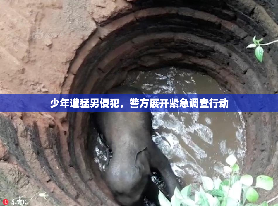少年遭猛男侵犯，警方展开紧急调查行动