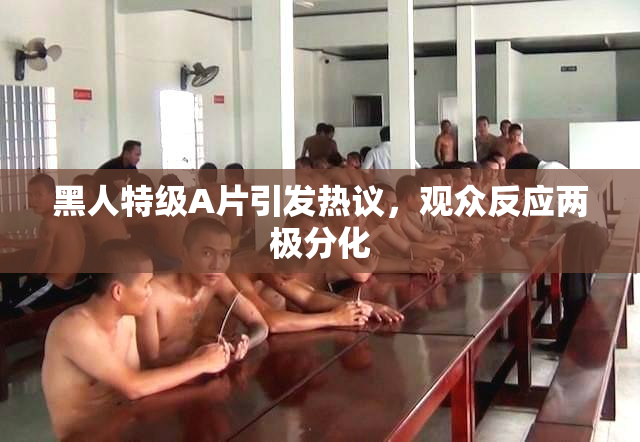 黑人特级A片引发热议，观众反应两极分化