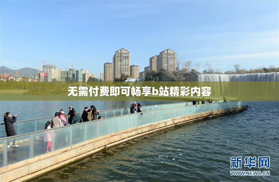 无需付费即可畅享b站精彩内容
